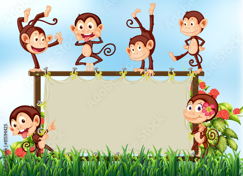 Monkeys and sign