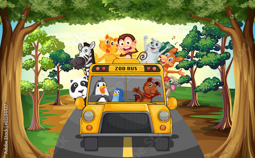 Animals and bus