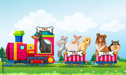 Animals and train