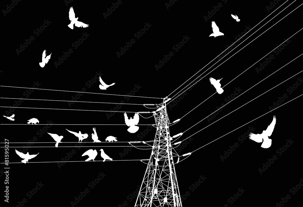 electrical pylon and birds isolated on black