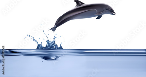 dolphin jumping from blue water illustration