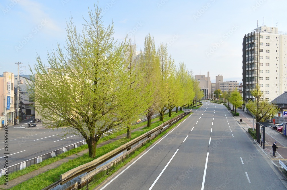 京都堀川通の景観