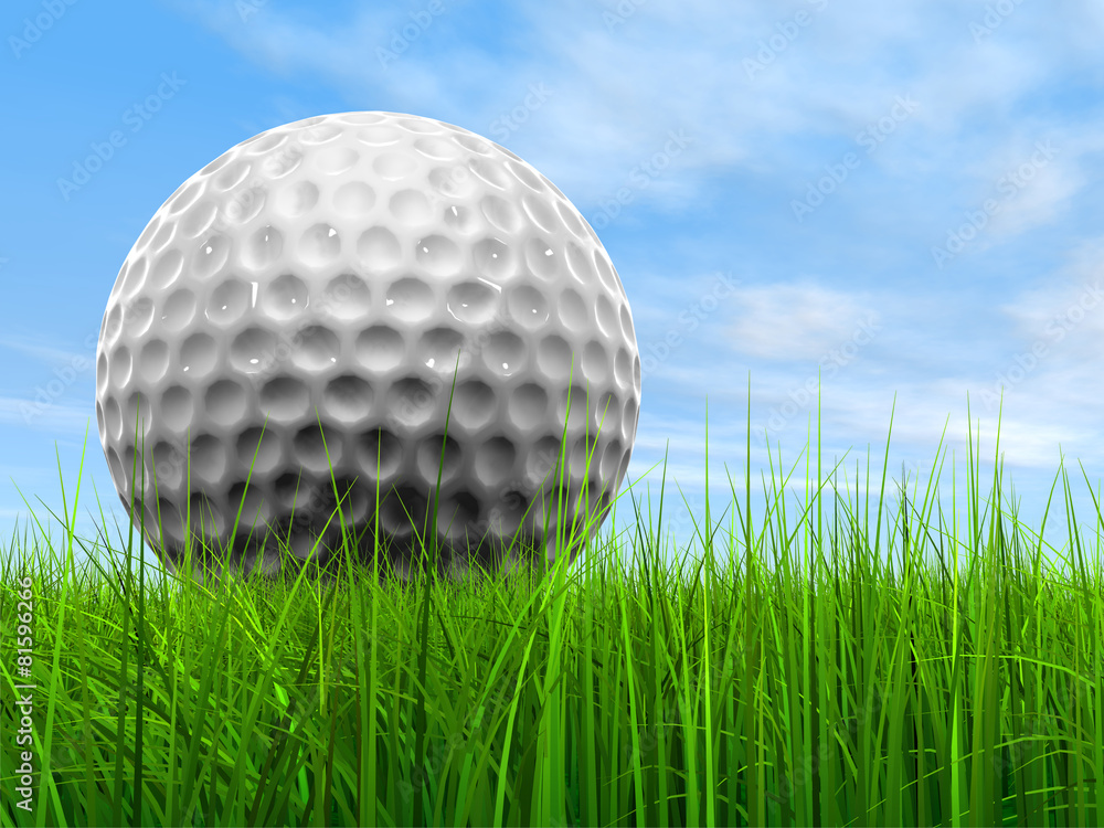 White golf ball in grass and sky White golf ball in grass and sky