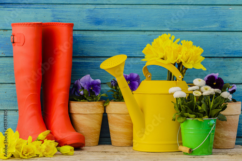 Fototapeta Naklejka Na Ścianę i Meble -  Spring flowers in the garden