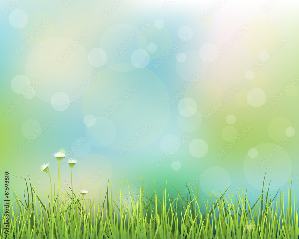 Green grass with little white flower background 