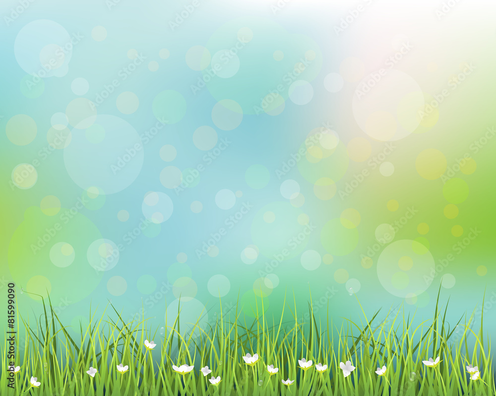 Fototapeta premium Green grass with little white flower background