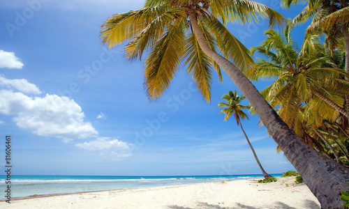 Fototapeta Naklejka Na Ścianę i Meble -  Spiaggia di Samoa, Santo Domingo