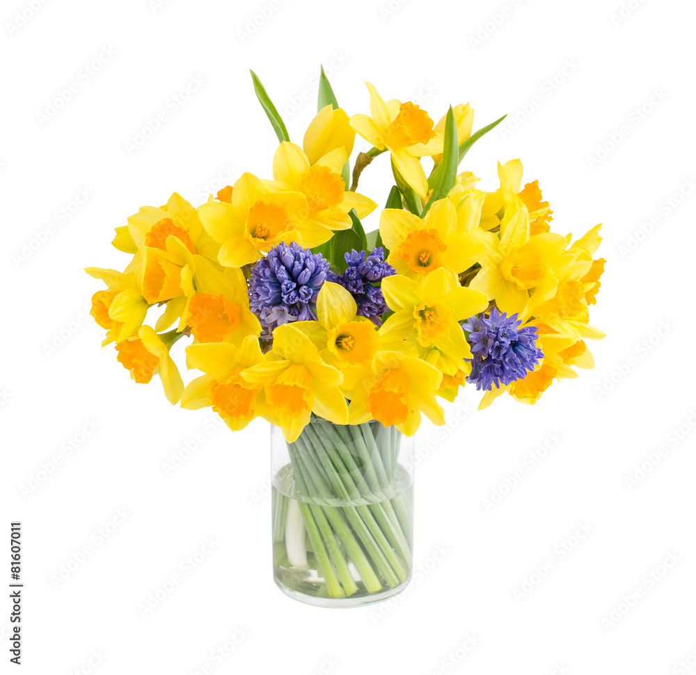 Bouquet of fresh narcissus and hyacinths isolated over white