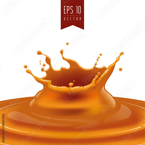 Splash of caramel or oil vector