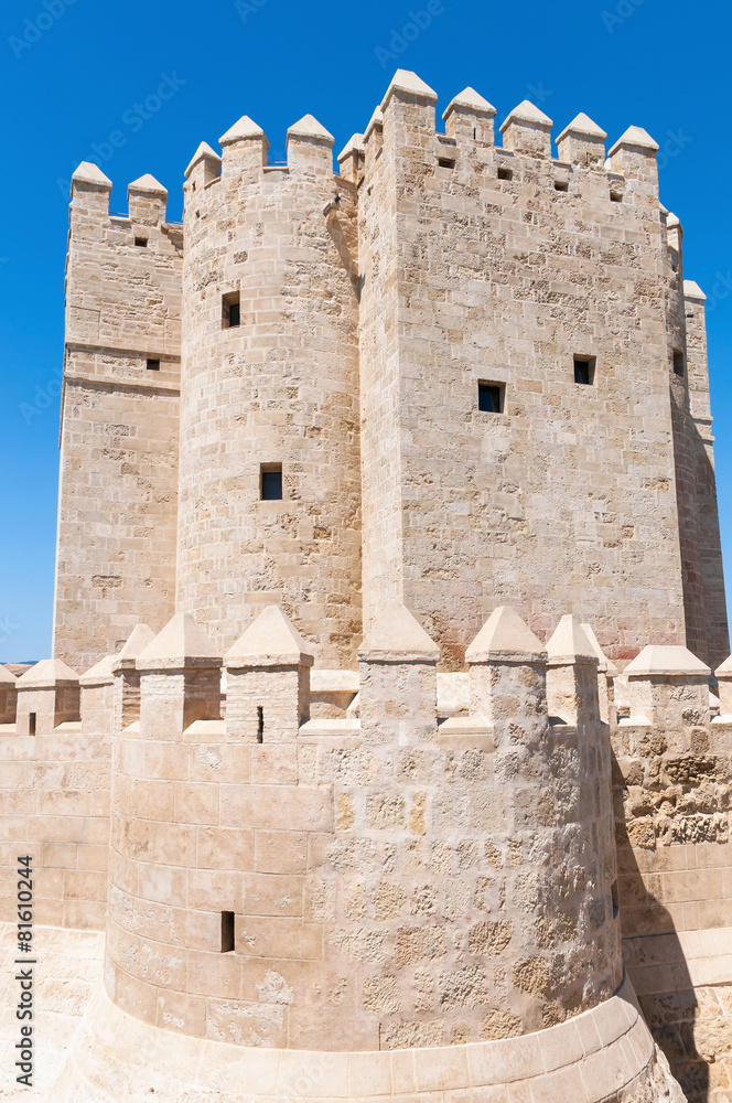 The Calahorra Tower in spanish Cordoba
