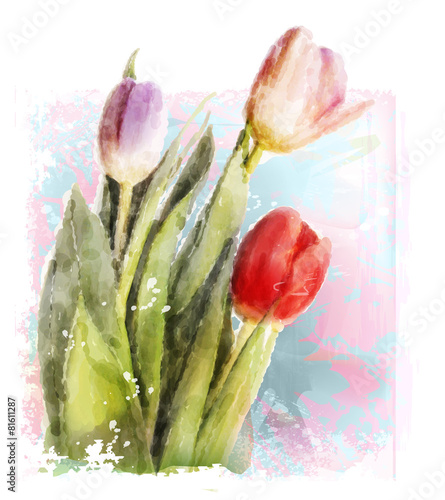 Bouquet of tulips. Watercolor illustration