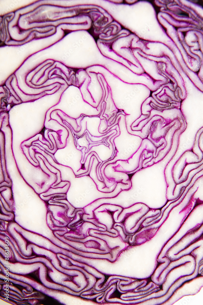 Obraz premium The fruit of red cabbage cut with a knife