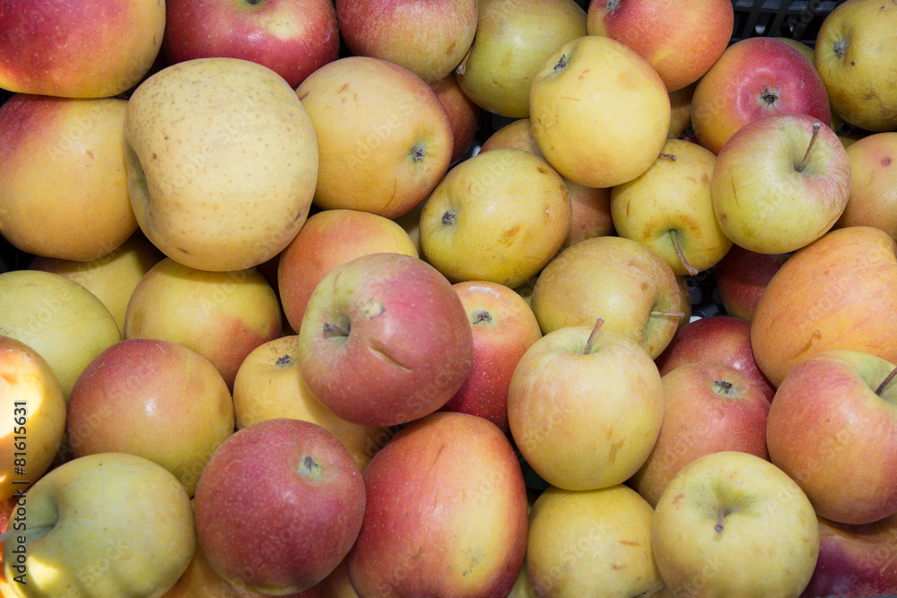 Tasty apple background direct from the farm Tasty apple background direct from the farm