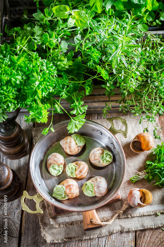 Delicious snails. before cooking