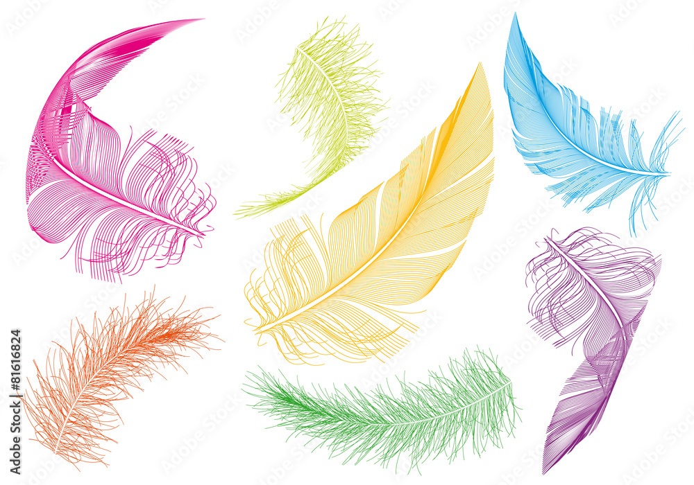 Fototapeta colorful feathers, vector set