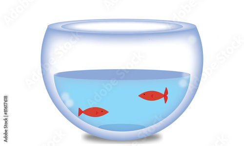 aquarium with two goldfish inside