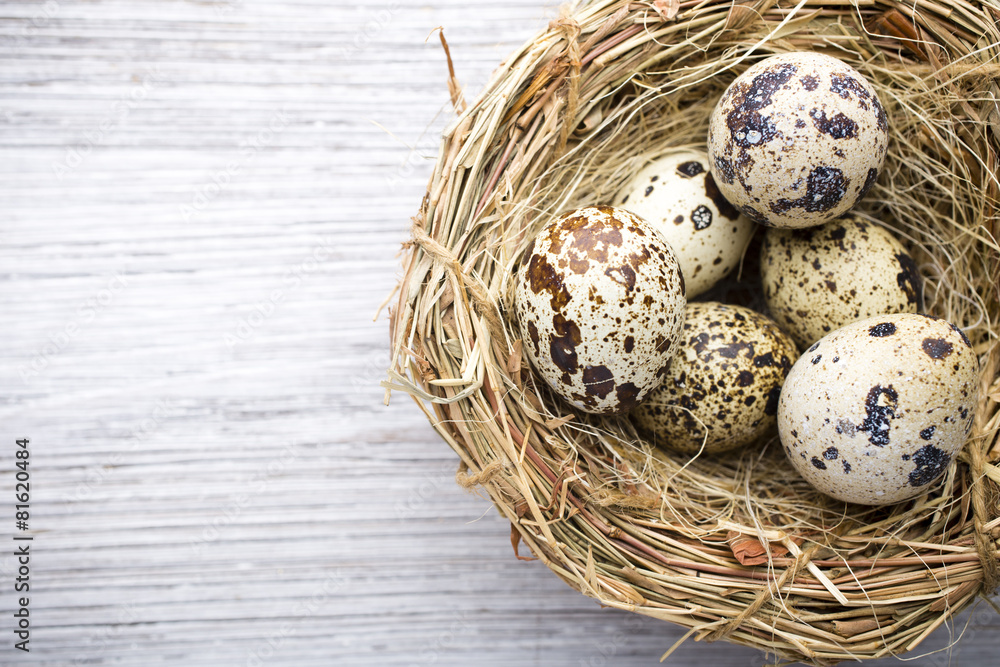Obraz premium Quail eggs. Easter greeting card.