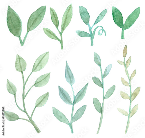 Set of leaves and branches