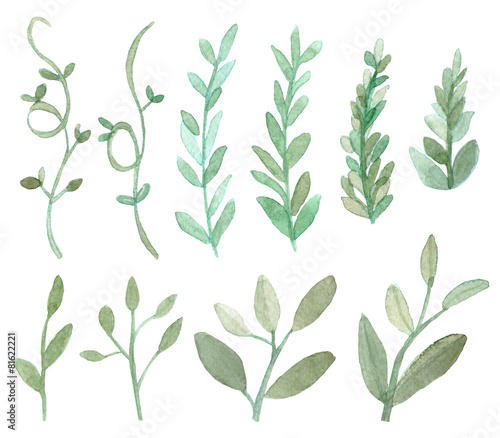 Set of leaves and branches