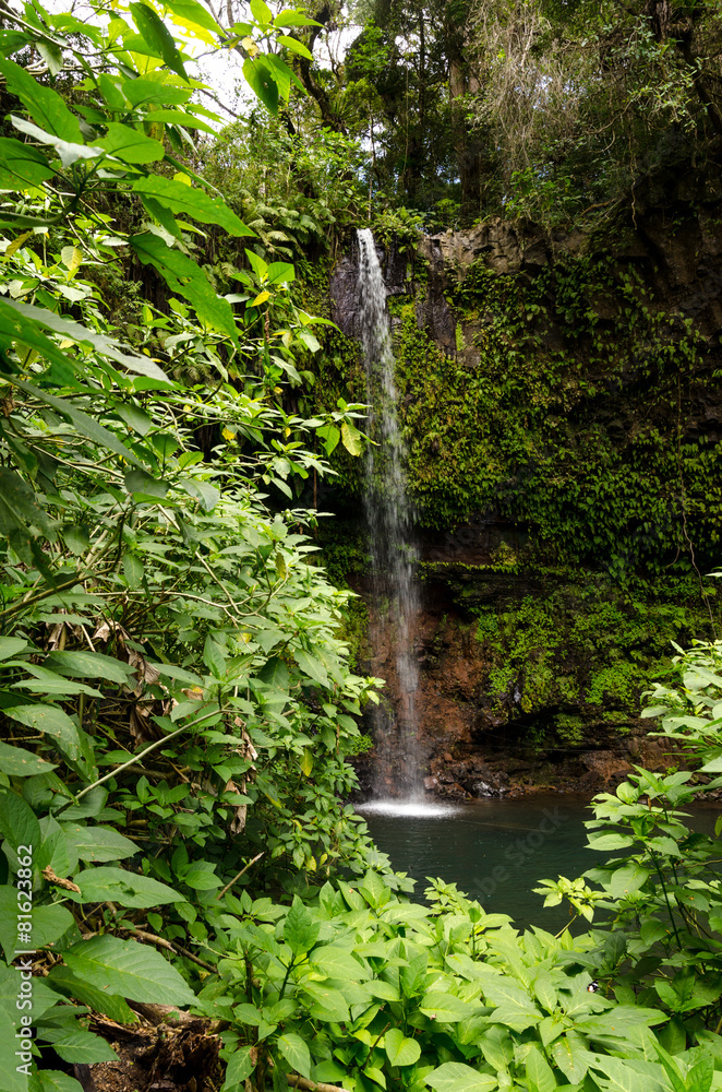 Obraz premium Waterfall in Amber Mountain National Park Madagascar