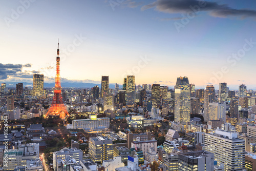 Twilight scene of Tokyo Tower in Tokyo © pigprox