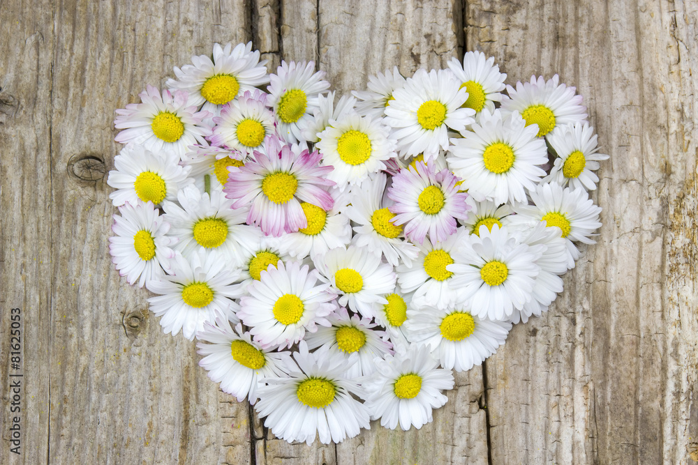 Obraz premium daisy flowers in heart shape on wooden background