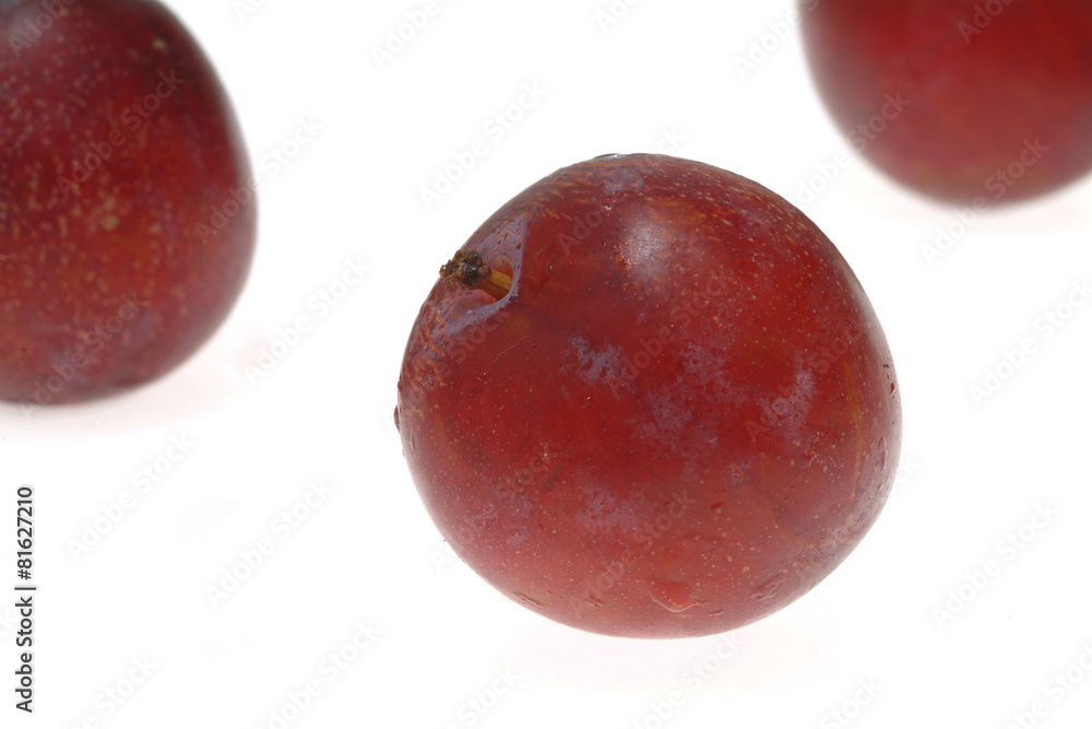 Obraz premium plums isolated on white background