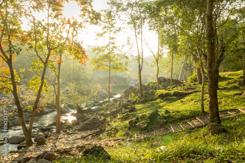 Deep rain forest in tropical zone that look like a heaven on earth.