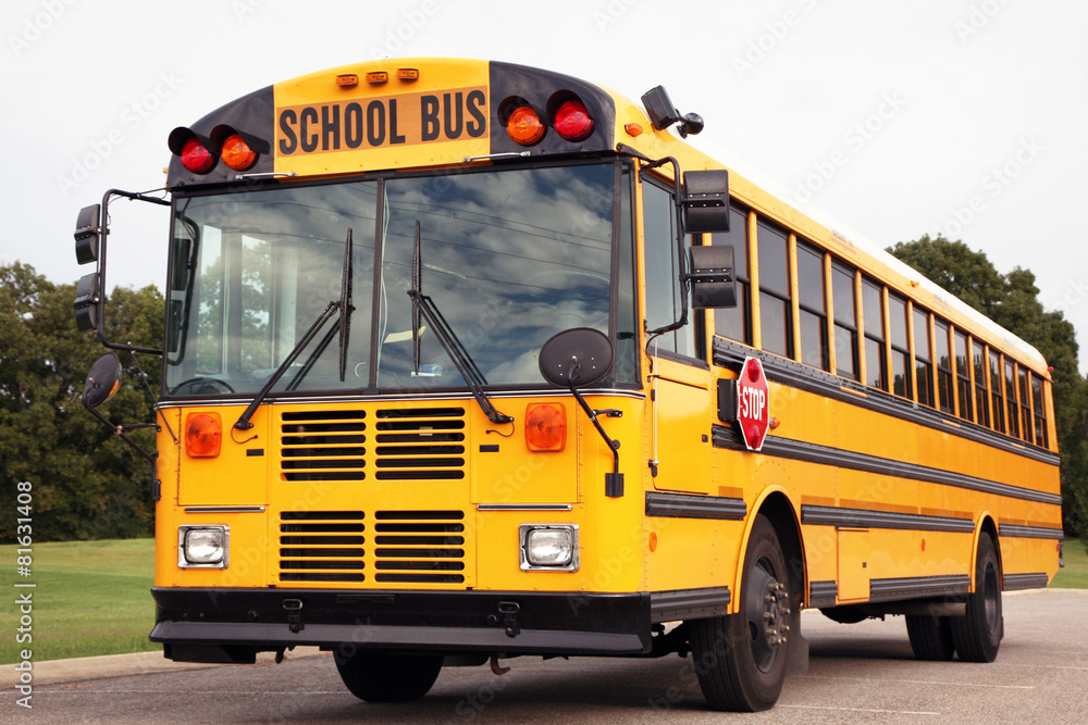 Naklejka premium Public school bus