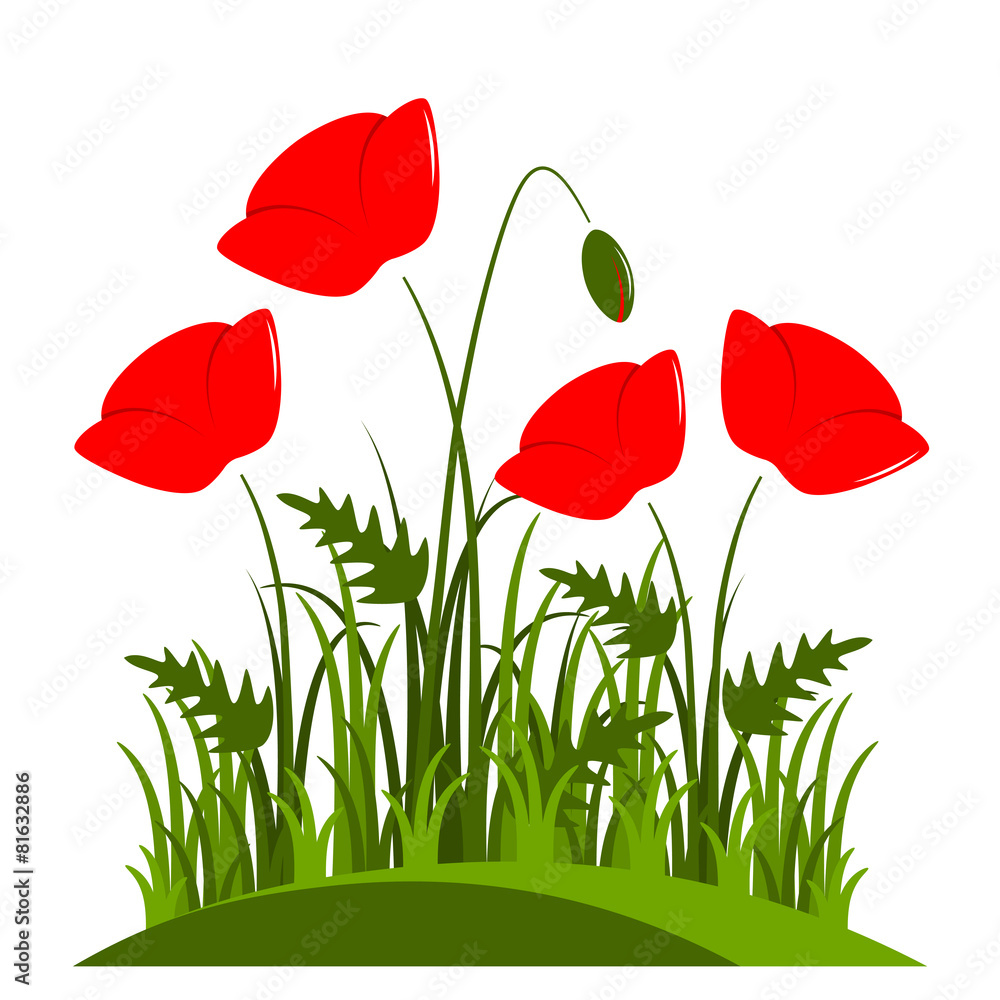 Naklejka premium corn poppy
