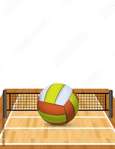 Volleyball on a Court Illustration