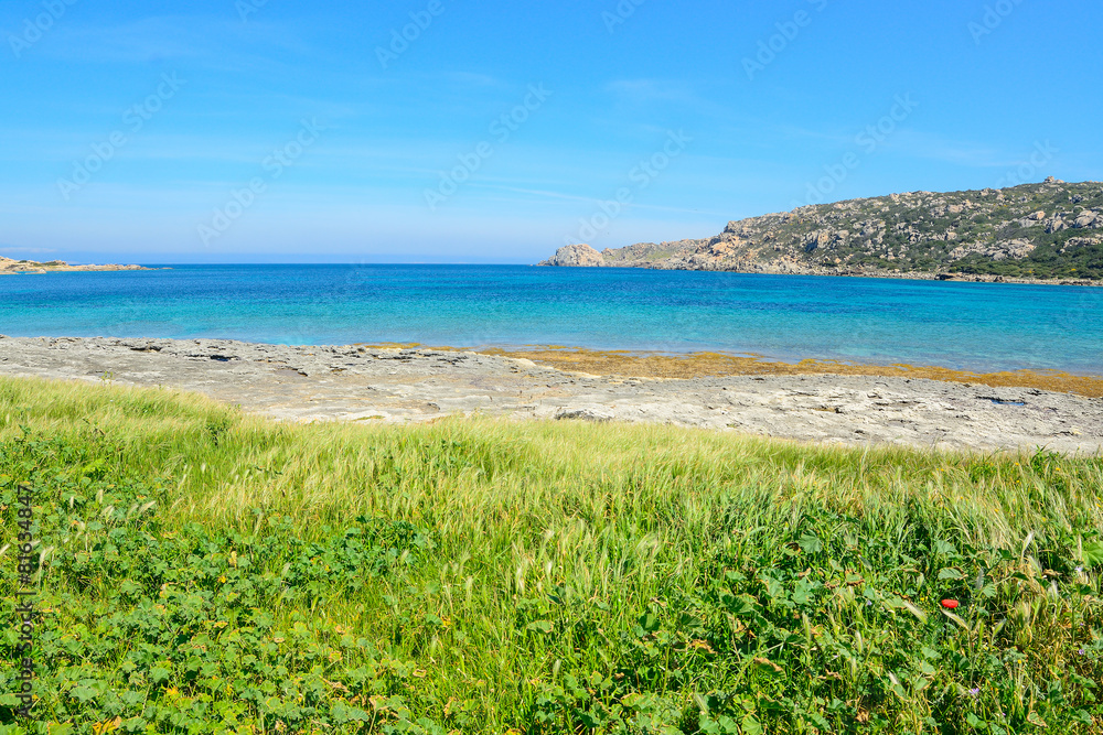 green vegetation by the sea in Gallura