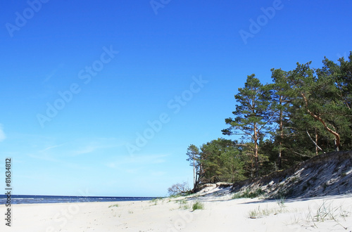 Fototapeta Naklejka Na Ścianę i Meble -  Sandy beach in Jurmala, Latvia