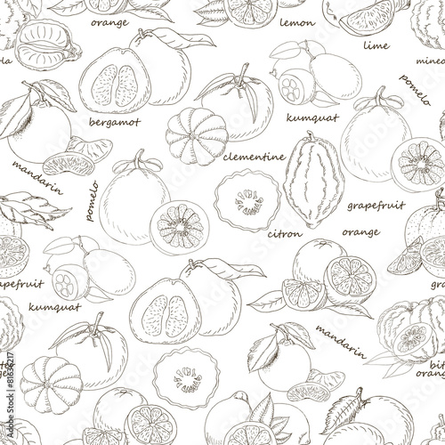 Seamless pattern with citrus fruit on white background
