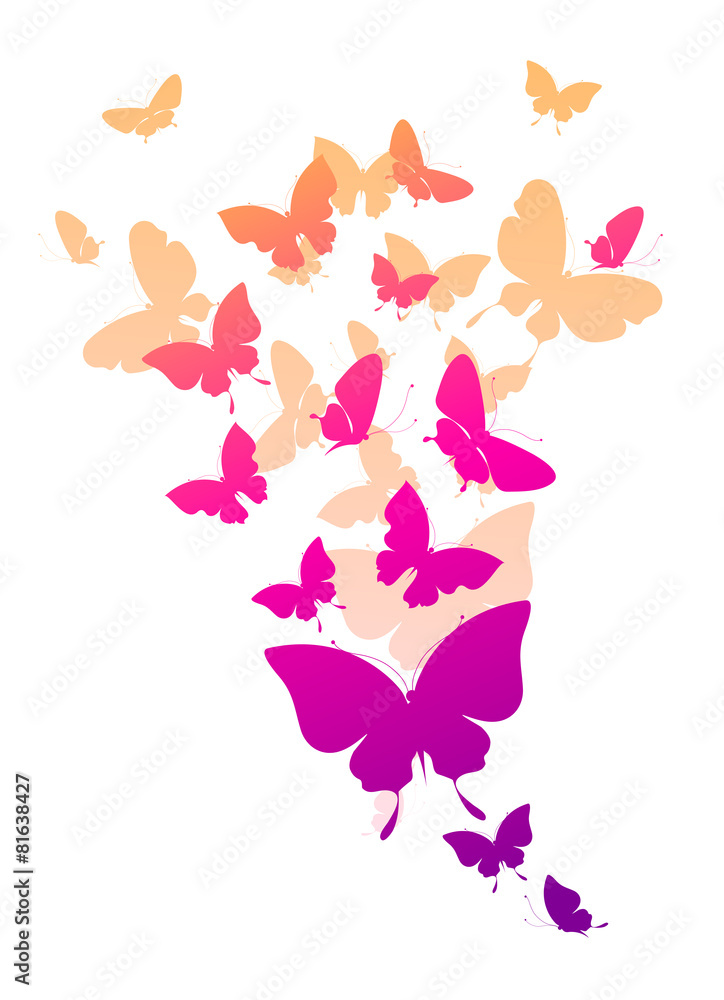 Fototapeta premium butterflies design