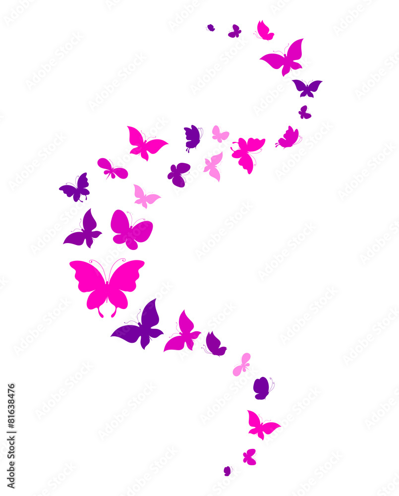 butterflies design butterflies design
