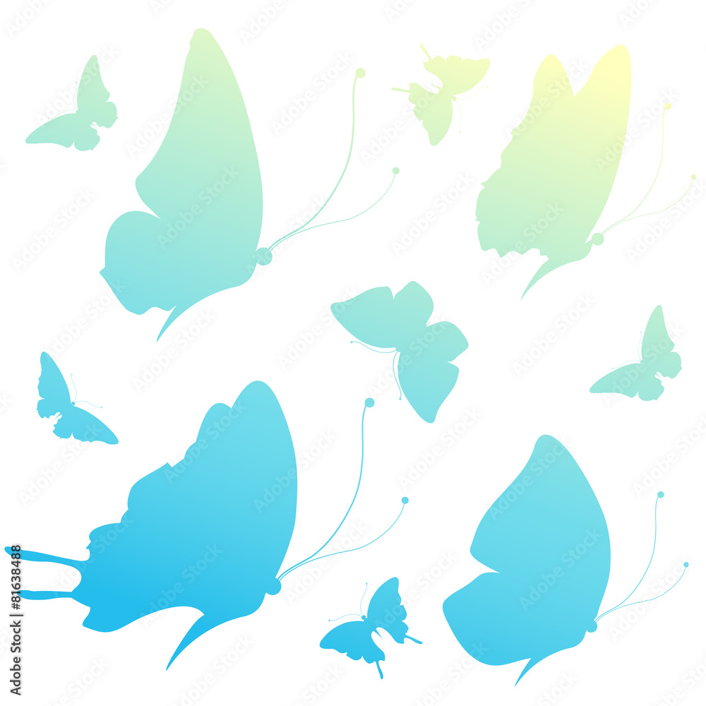 butterflies design butterflies design