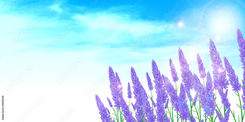 ラベンダー ハーブ 背景 Stock Vector Adobe Stock ラベンダー ハーブ 背景 Stock Vector Adobe Stock