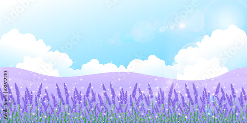 ラベンダー　ハーブ　背景