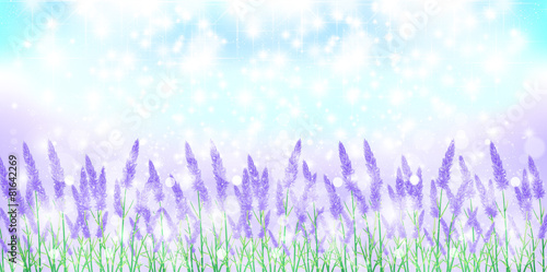 ラベンダー　ハーブ　背景