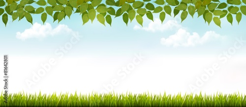 Long white fence banner with grass and leaves. Vector.