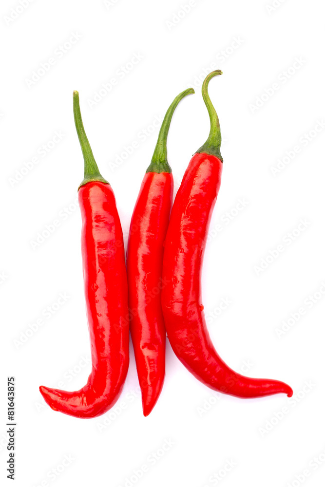 Hot red chili or chilli pepper. Hot red chili or chilli pepper.
