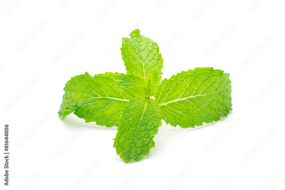 Fresh mint leaves. Fresh mint leaves.