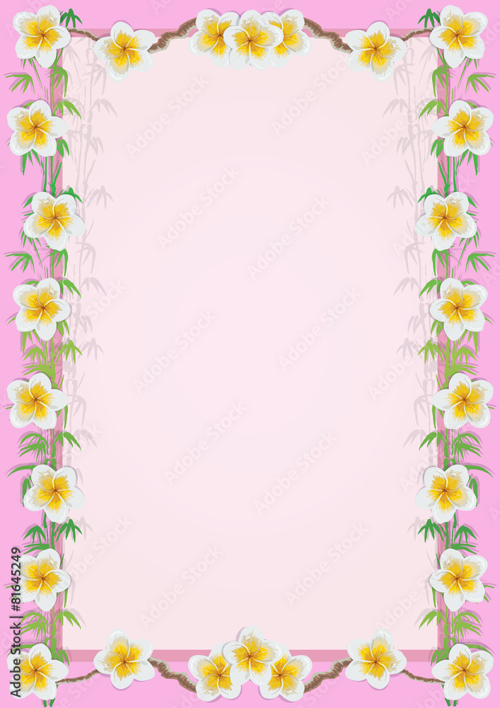 Obraz premium Frame with tropical flowers plumeria