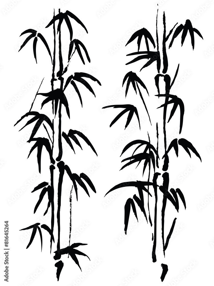 Black and white illustration. Bamboo Black and white illustration. Bamboo