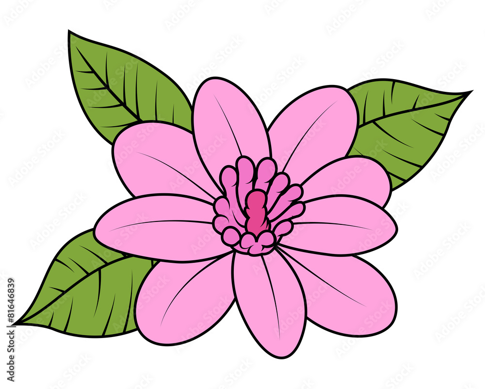Fototapeta premium Pink Wild Daisy Vector Illustration