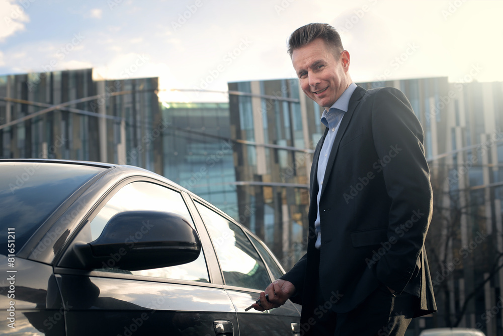 custom made wallpaper toronto digitalAn elegant car