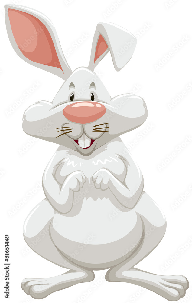 Obraz premium Rabbit