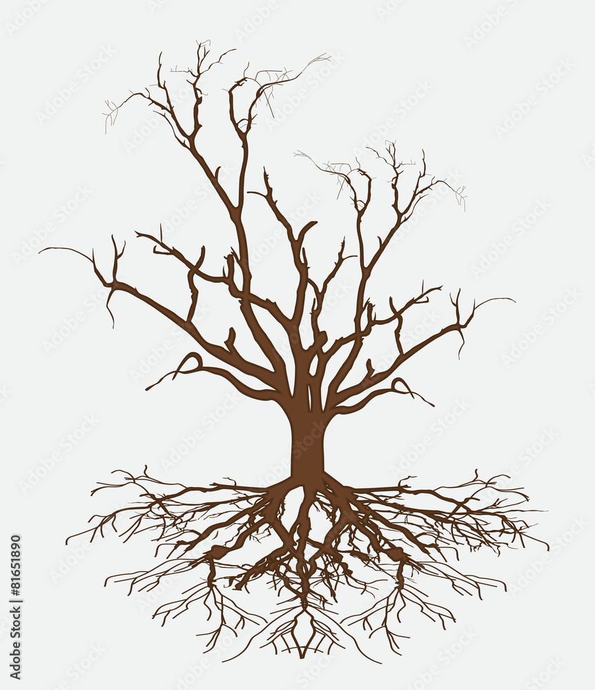 Obraz premium Dead Tree Vector Illustration