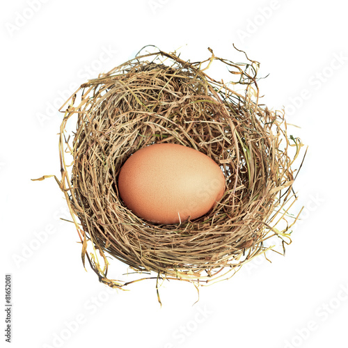 Hen egg in straw nest isolated